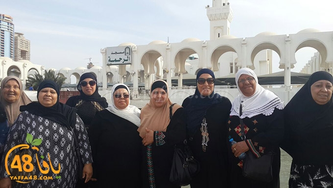 zibda yaffa jadda (6).jpg